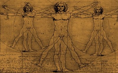 La riqueza del cuerpo humano