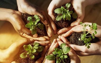 El desafío de la ecología esquizofrénica