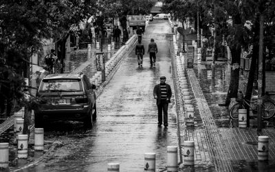 Vayamos todos a votar