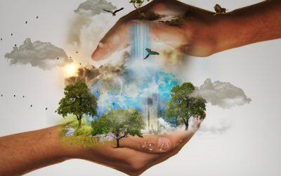 La clave del suicidio demográfico: pérdida de valores