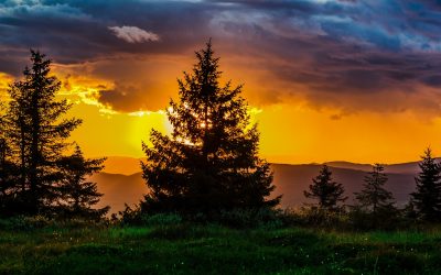 Entre gnósticos y pelagianos