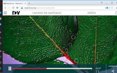 ‘Rezandovoy’, la app que ofrece 11 minutos de oración diarios