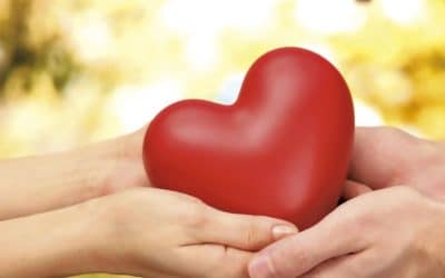 Cómo reparar un corazón roto