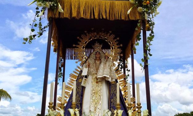 800 años de devoción