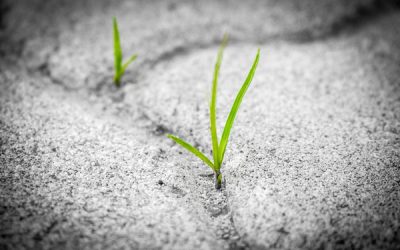 Este santo también fue un poeta