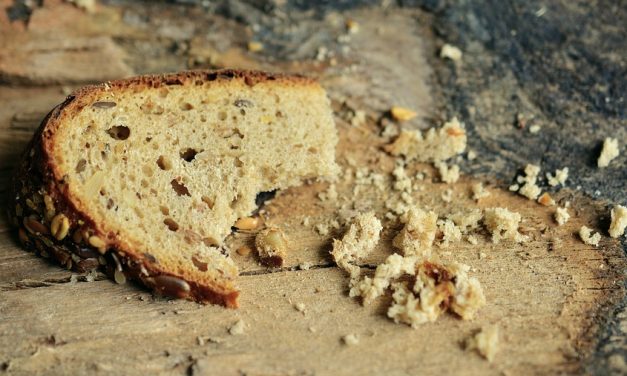 ¿Qué hago contra el hambre y el desperdicio?