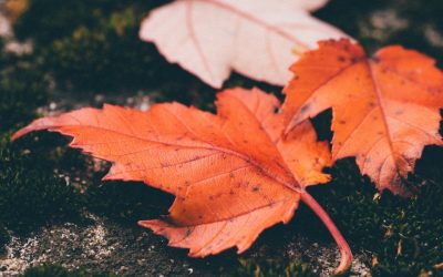 Cambiar: más sencillo de lo que parece