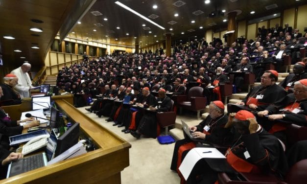 Papa Francisco: Creatividad y visión amplia ante los jóvenes