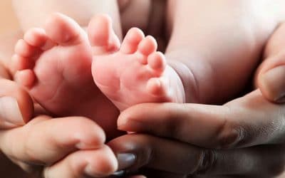 El pueblo bueno y sabio, a favor del Derecho a la Vida