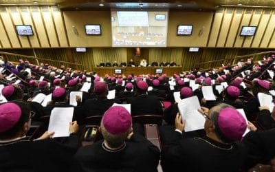 Los «novísimos» del Sínodo de los Jóvenes