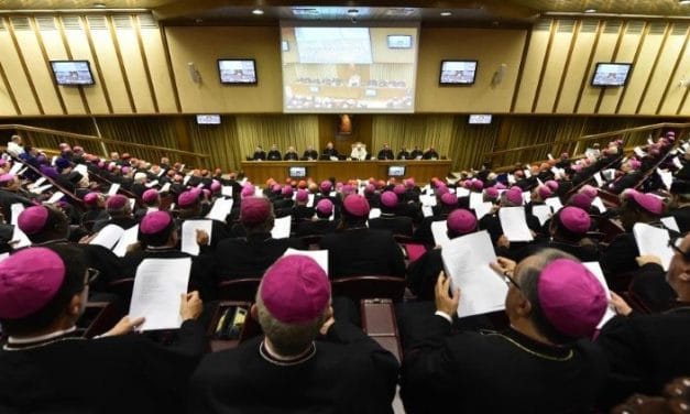 Iglesia y jóvenes, reforma en camino