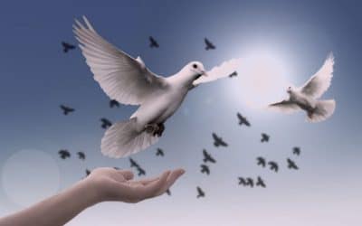 Diez enseñanzas del Catecismo de la Iglesia Católica sobre la buena política