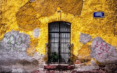 ¿Qué rumbo; qué país?
