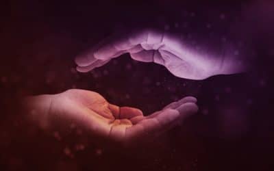 En política no puede haber paz sin confianza mutua