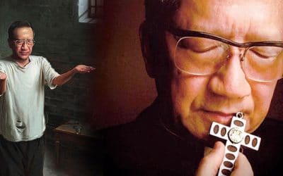 La buena política está al servicio de la paz