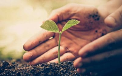 La esperanza no es magia