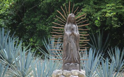 La luz del Tepeyac