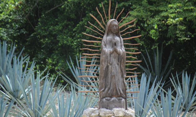 La luz del Tepeyac