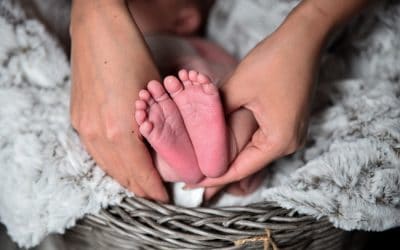 Navidad, renace la paz