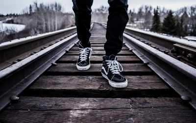 Fui peregrino y me diste posada