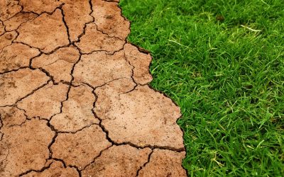 Declaración conjunta sobre la justicia climática, emitida por las conferencias episcopales