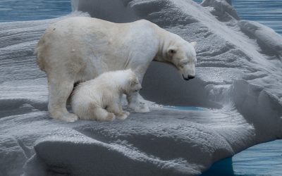 Va a ser difícil ponerse de acuerdo