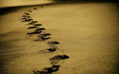 Culpas, pasado y presente