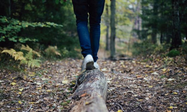 Aprender del error, una mirada asertiva