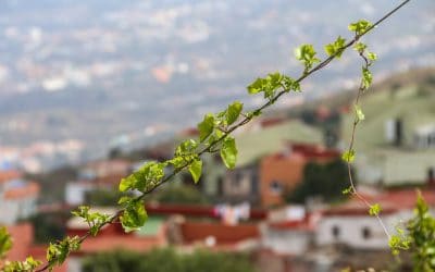Conservar y trasladar