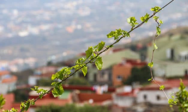 Conservar y trasladar