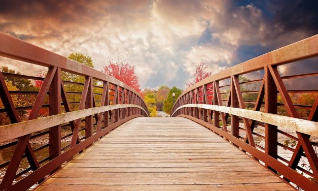 Construyamos puentes