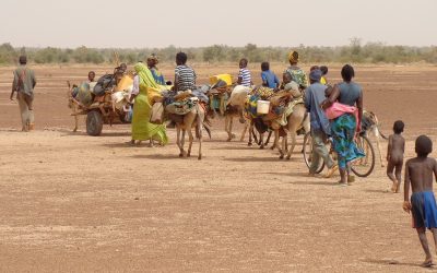 Francisco y los migrantes