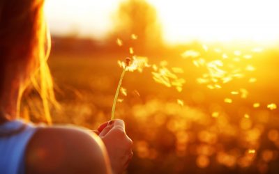 Minimalismo en la vida y en los pensamientos