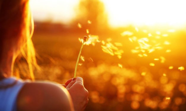 Minimalismo en la vida y en los pensamientos