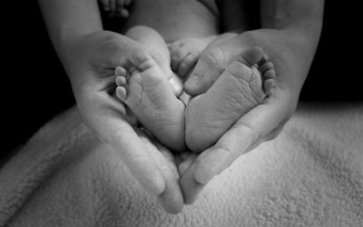 Hermanos por tener a Dios como Padre