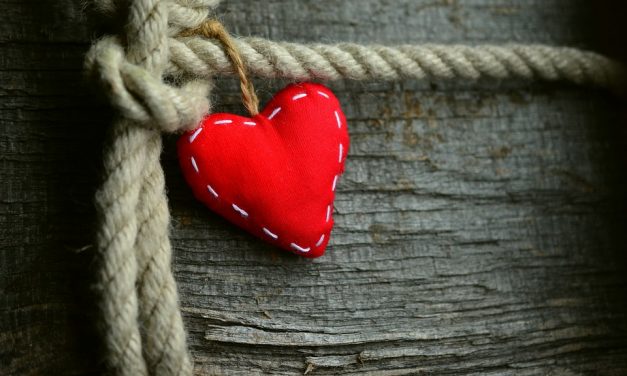 La importancia del corazón