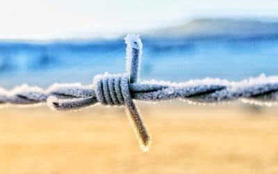 Islas Marías, ¿infierno o paraíso?