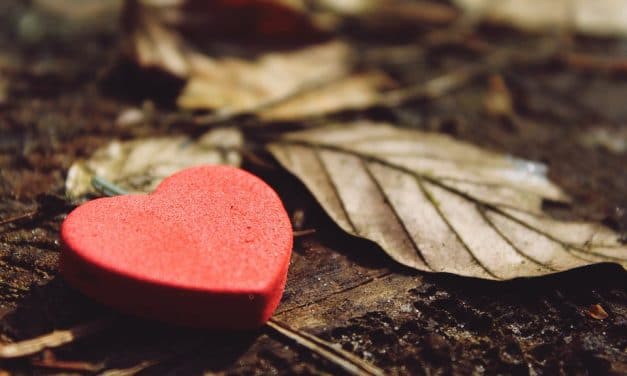 Dios quiere abandono y gratitud