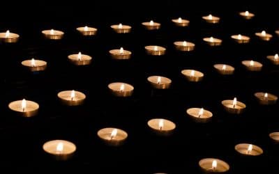 Notre Dame / Sri Lanka