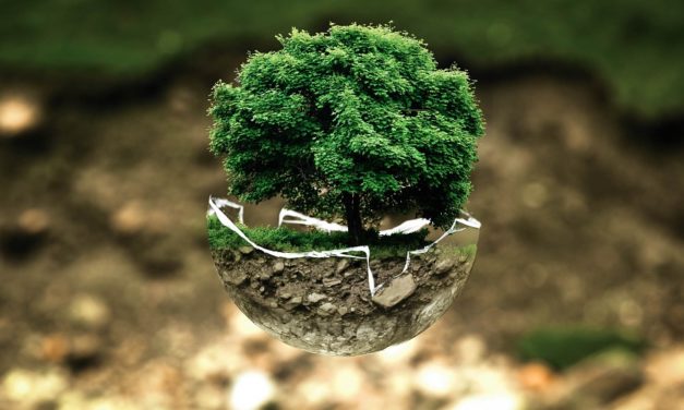 «Caritas in veritate», ecología humana y ecología ambiental