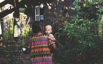 Lecciones sobre maternidad