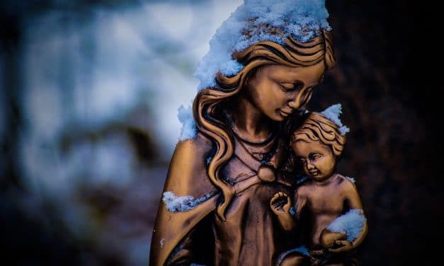 Madre de Dios y Madre nuestra