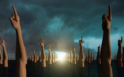 ¿Qué nos toca hacer como ciudadanos?