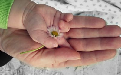 Todos podemos hacer algo por la paz