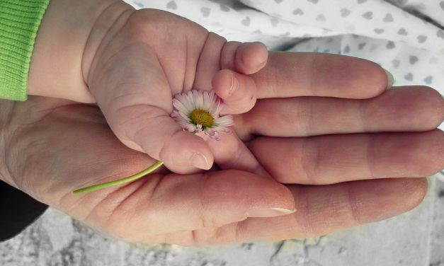 Todos podemos hacer algo por la paz