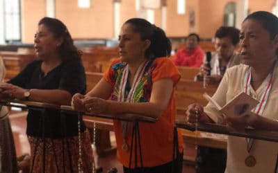 Oran por la vida y ocurren milagros