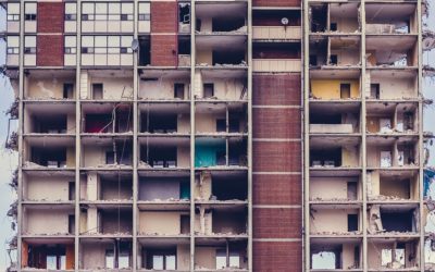 Algunos males de los sistemas democráticos