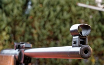 Balance numérico de la Guerra Cristera