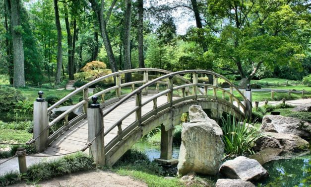 Un puente que dura toda la vida