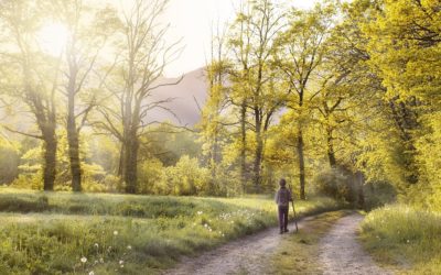 La Sagrada Escritura, camino hacia la felicidad